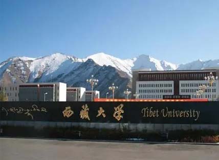 西藏大学艺术学院