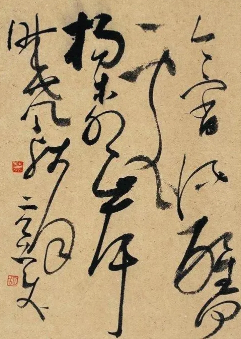 胡抗美