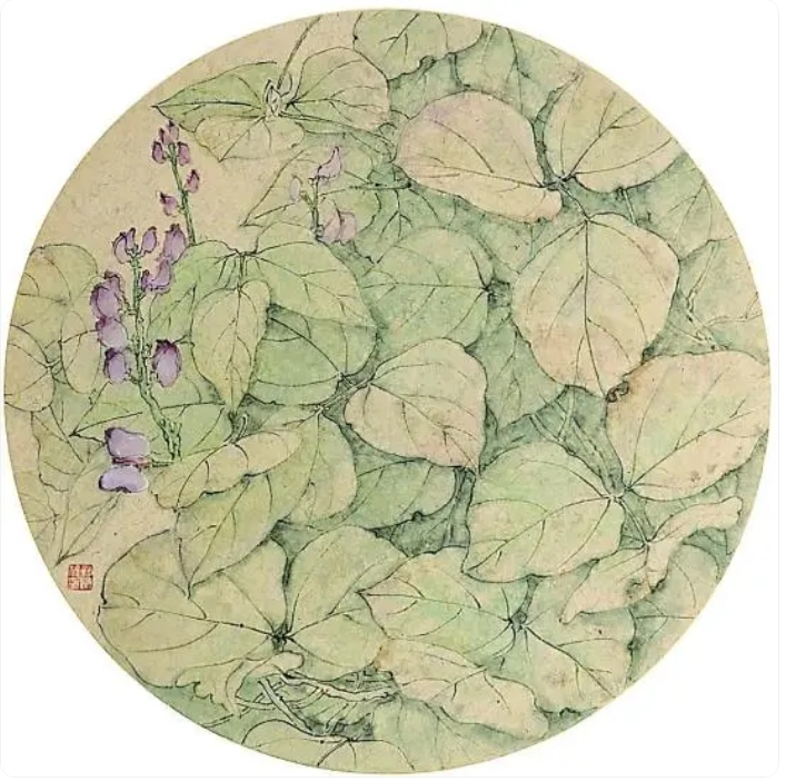 鲍海斌