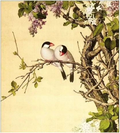 郎世宁《紫白丁香》