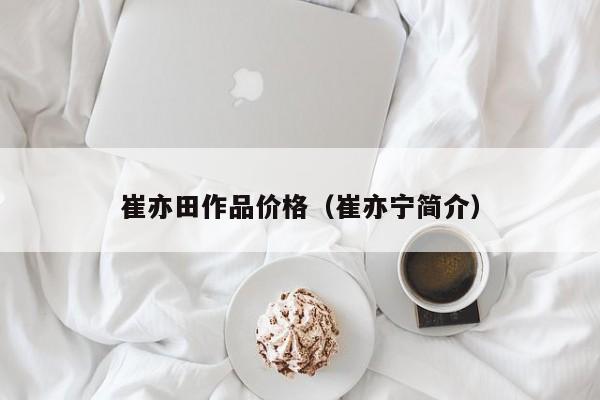 崔亦田作品价格(崔亦宁简介)