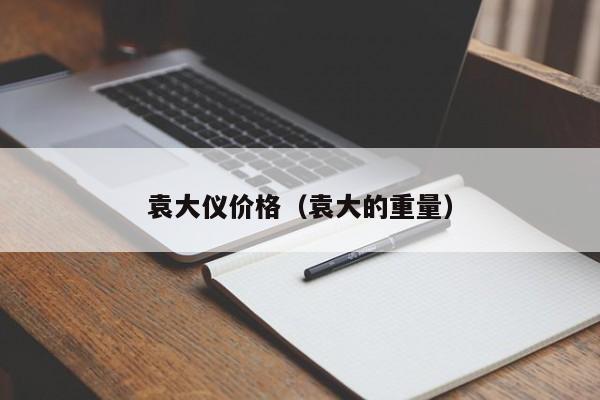 袁大仪价格(袁大的重量)