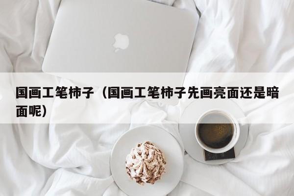 国画工笔柿子(国画工笔柿子先画亮面还是暗面呢)