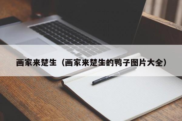 画家来楚生(画家来楚生的鸭子图片大全)