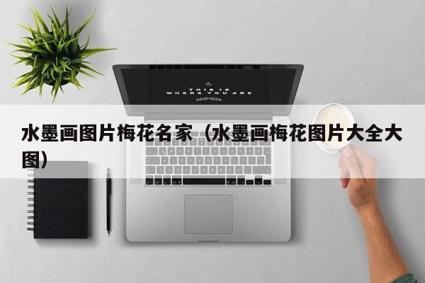水墨画图片梅花名家(水墨画梅花图片大全大图)