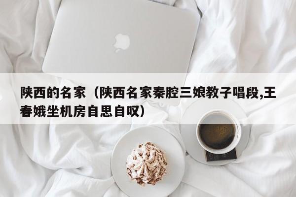 陕西的名家(陕西名家秦腔三娘教子唱段,王春娥坐机房自思自叹)