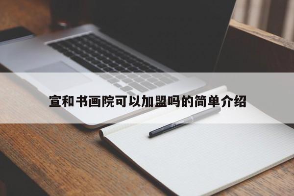 宣和书画院可以加盟吗的简单介绍