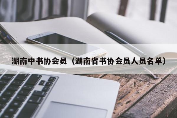湖南中书协会员(湖南省书协会员人员名单)